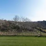 In Near The