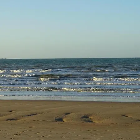 In Near The Apartman *