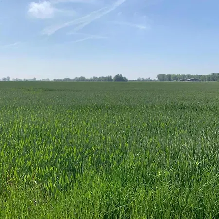 Apartman In Near The *