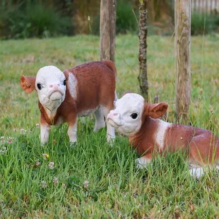 Apartman In Near The