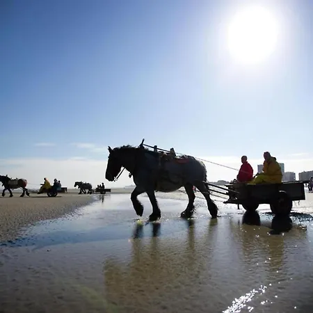 In Near The Apartman *