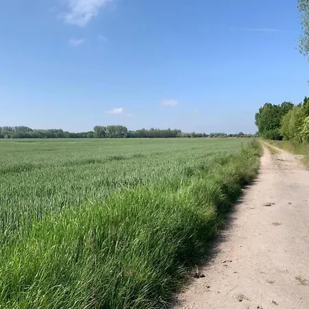 In Near The Apartman