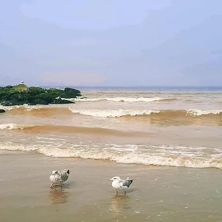 Apartman In Near The