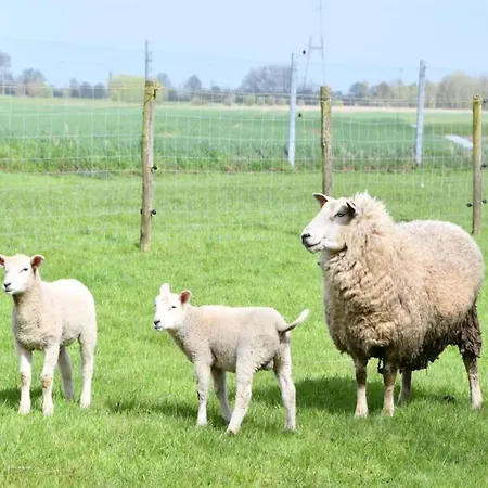 In Near The Apartman *